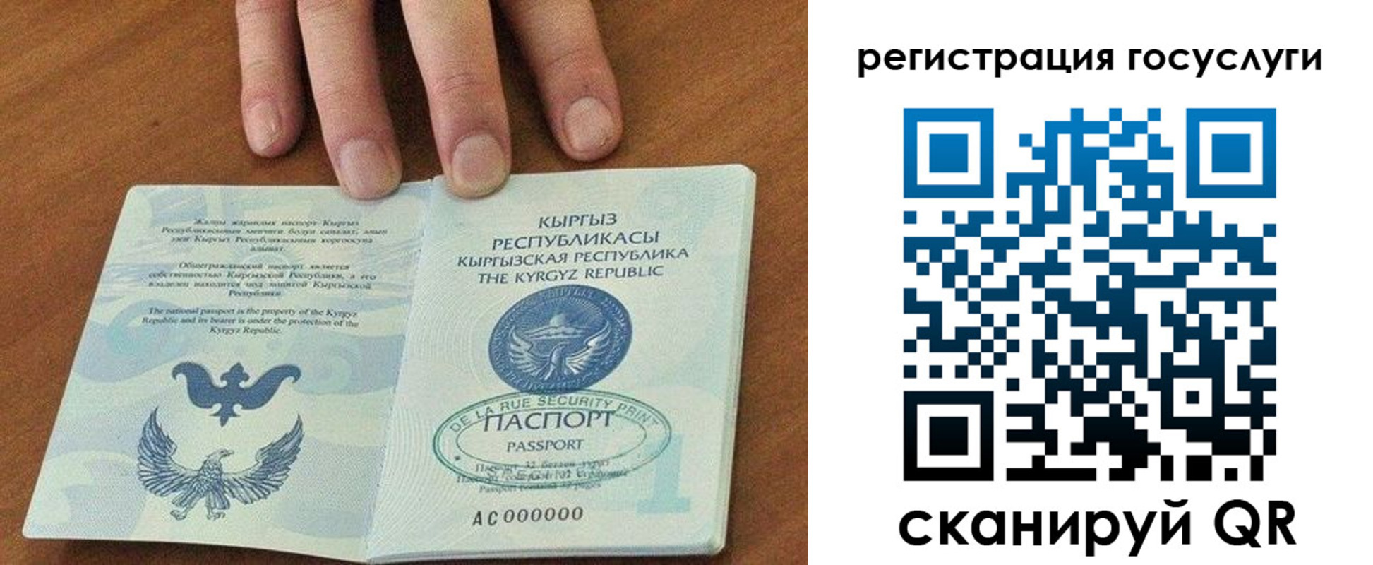 прописка ребенка в Алексеевке